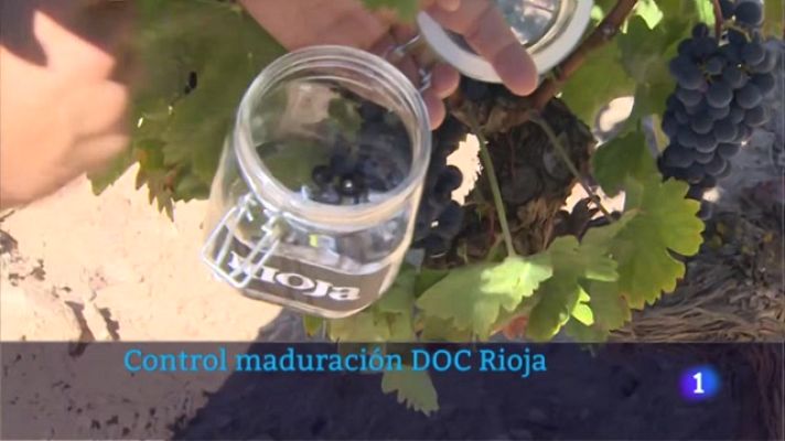 Informativo Telerioja - Informativo Telerioja - 23/08/22