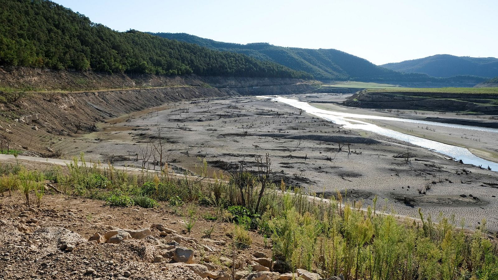 Telediario 1 en cuatro minutos - 23/08/22 - Ver ahora
