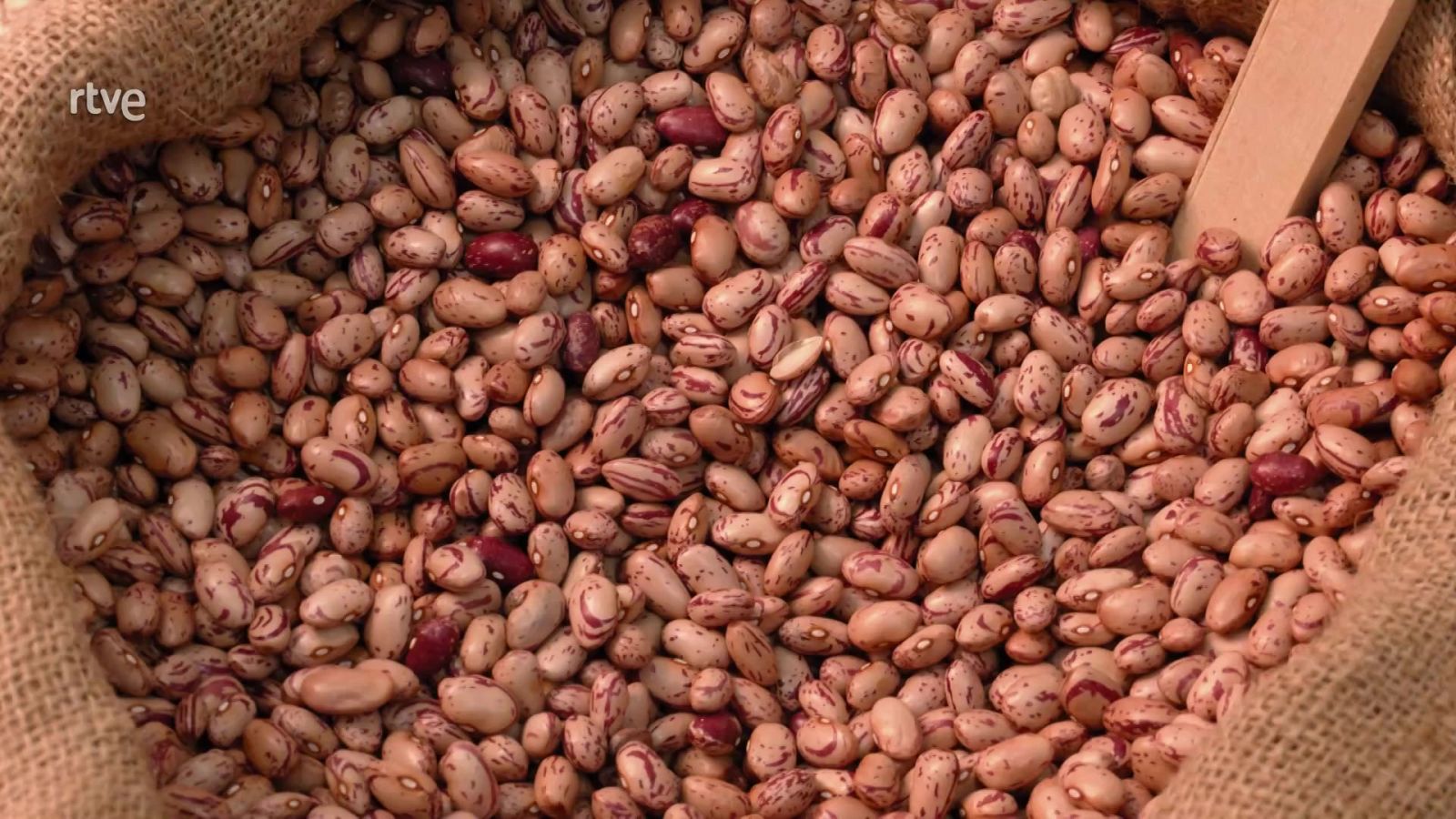 Aquí la Tierra - 23/08/22 - ver ahora