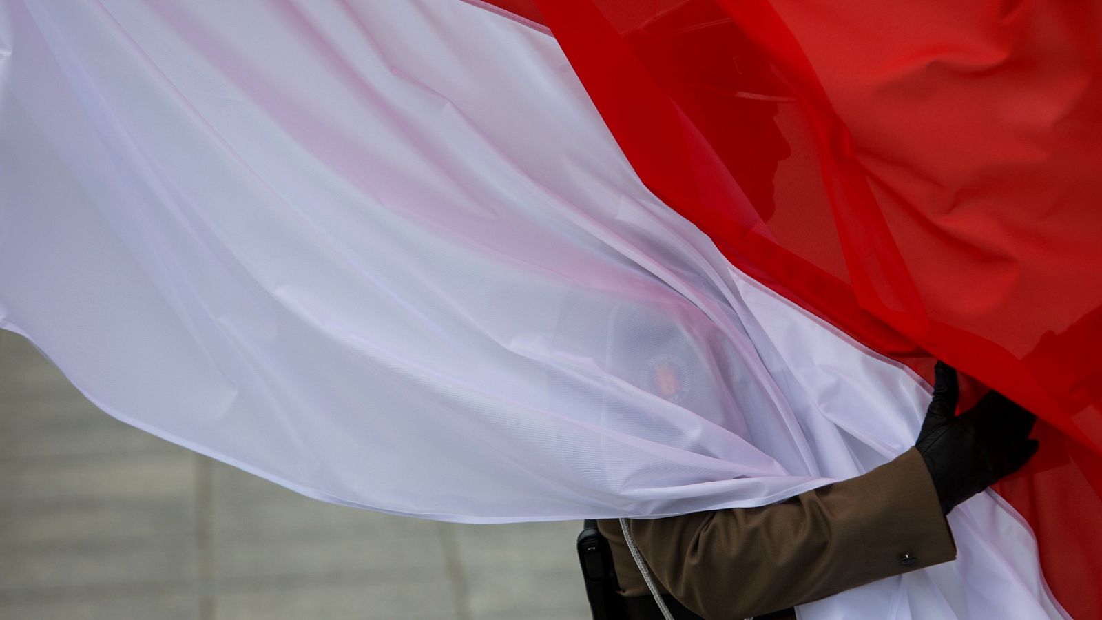 Un programa permite identificar los restos de soldados | Ver