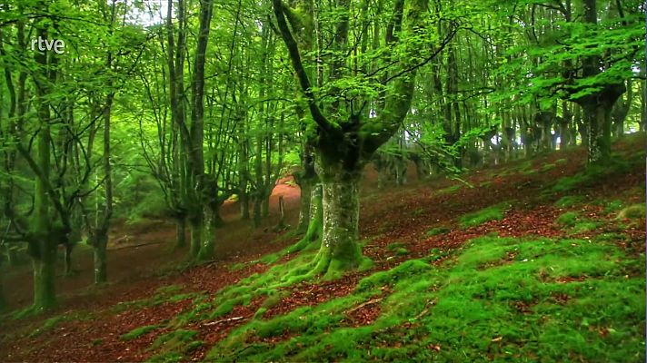El tiempo - Temperaturas máximas elevadas en el cuadrante suroeste y valle del Miño