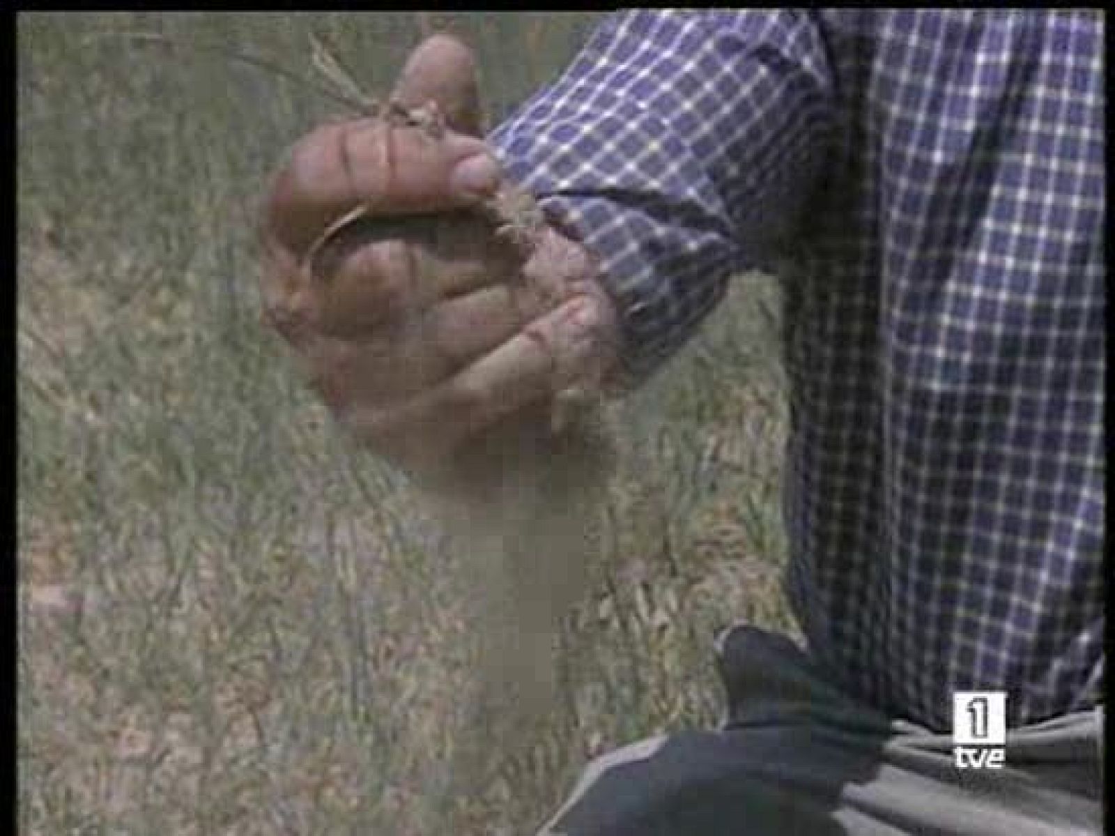 Todos los partidos aragoneses de la oposición, PP, Chunta Aragonista e IU critican el informe del servicio jurídico del gobierno de aragón que asegura que la cesión de agua del Ebro a Barcelona no es un trasvase ni una trasferencia de recursos hídric