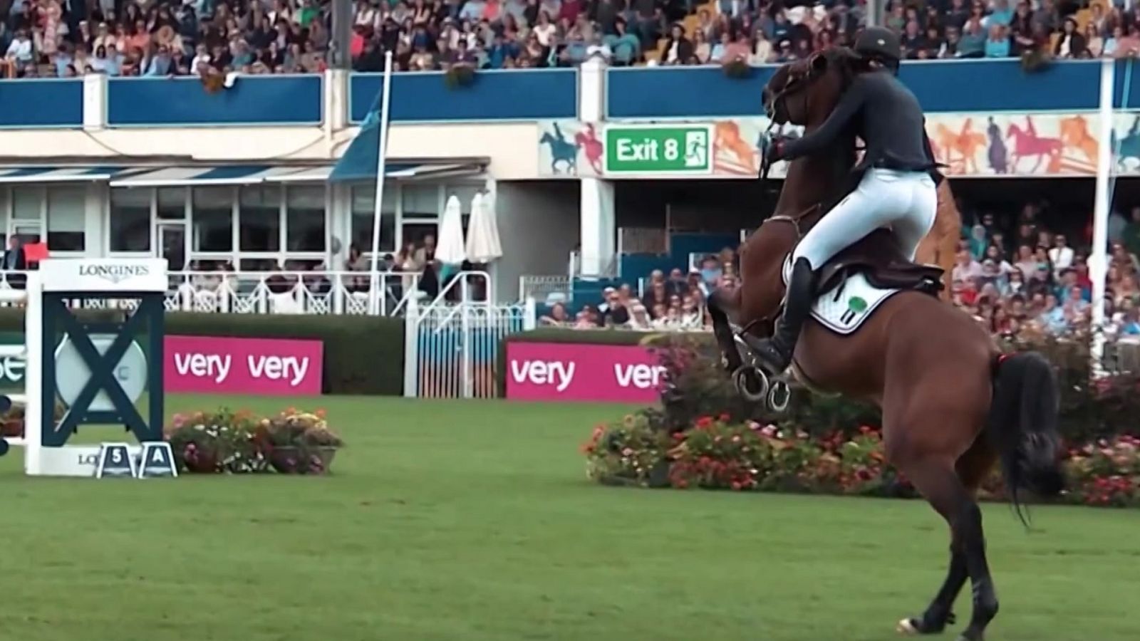 Hípica - Copa de naciones. Prueba Dublín - ver ahora