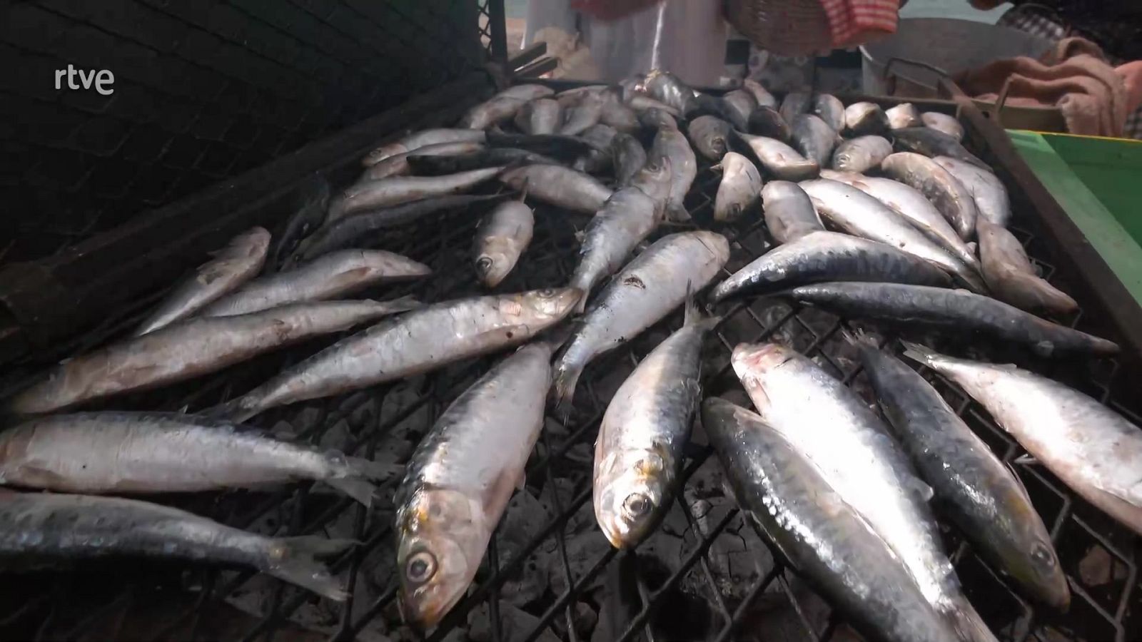 Aquí la Tierra - 25/08/22 - ver ahora