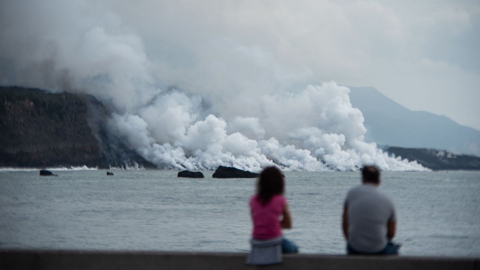 La vida vuelve al fondo marino de La Palma afectado por el volcán | Ver