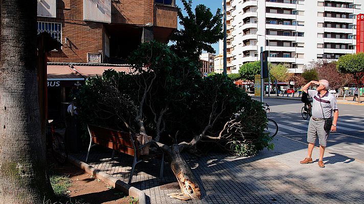 Telediario 1 - Telediario 2 fin de semana en cuatro minutos (27/08/2022)