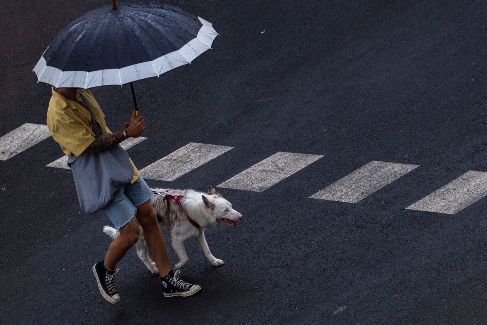 Fuertes ráfagas de viento y lluvia intensa en Cataluña y Baleares