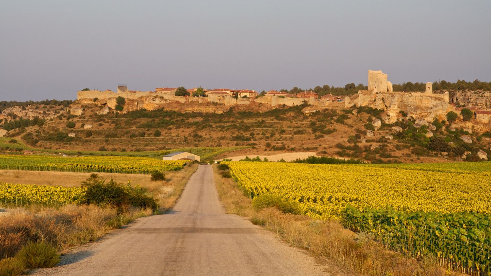 Por qué Soria lleva más de 20 años sin grandes incendios | Ver