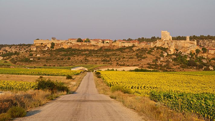 Telediario 1 - Por qué Soria lleva más de 20 años sin grandes incendios