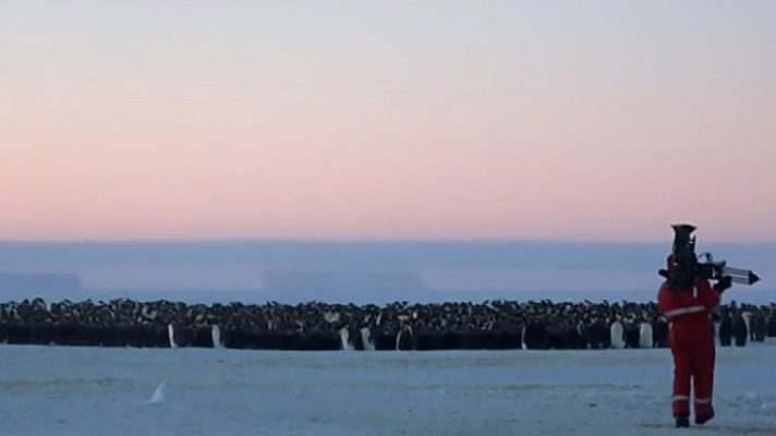 Como se hizo Dinastías - Pingüinos