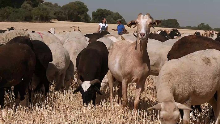 Aquí la Tierra - Aquí la Tierra - 30/08/22