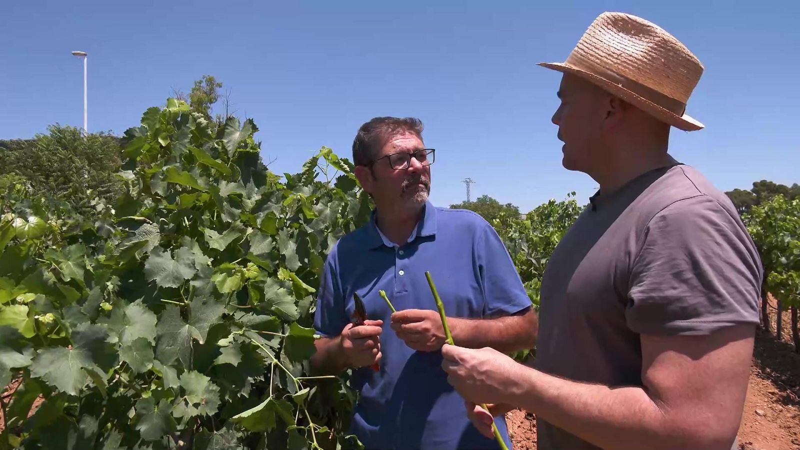 Aquí la Tierra - 01/09/22 - ver ahora