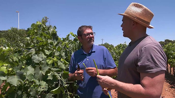 Aquí la Tierra - Aquí la Tierra - 01/09/22