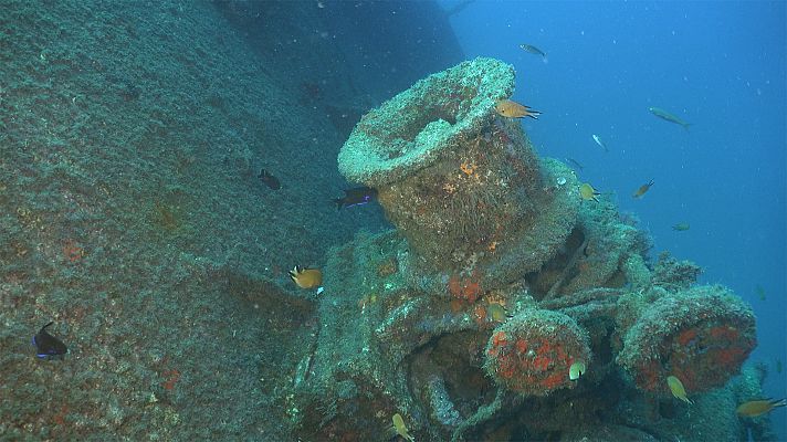 Canarias bajo el mar - Gran Canaria