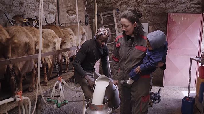 Vuelvo a empezar - Bustarviejo, Mayorga y Riópar