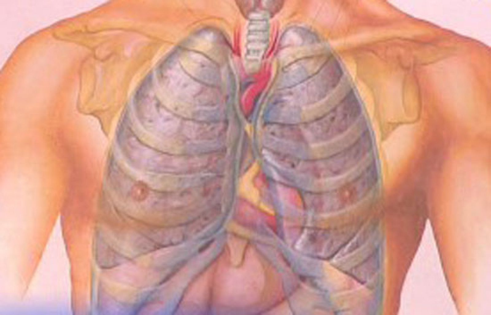 Saber vivir - Problemas respiratorios | Ver