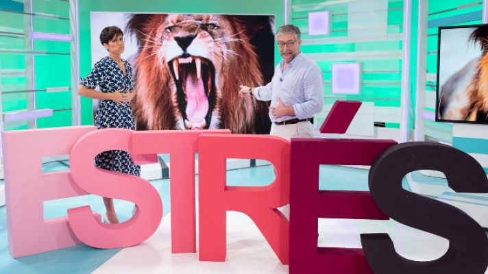 Saber vivir - ¿Cómo afecta el estrés a nuestra digestión?