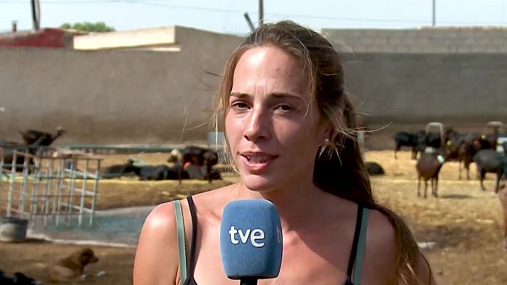 La hora de La 1 - Historia inspiradora: María y su amor por las cabras