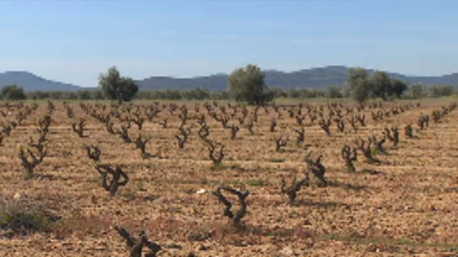 Reunión Mesa Nacional de la Sequía - Ver ahora