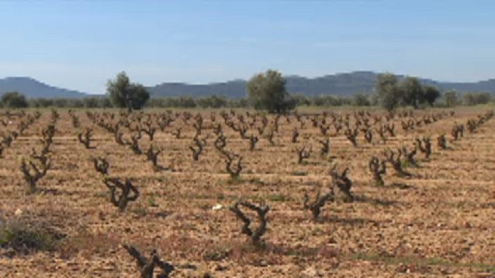 Noticias Andalucía - Reunión Mesa Nacional de la Sequía