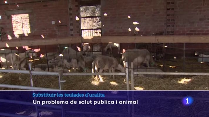 L'Informatiu - La violenta pedregada de fa una setmana a la Bisbal d'Empordà va deixar malmeses moltes teulades d'uralita