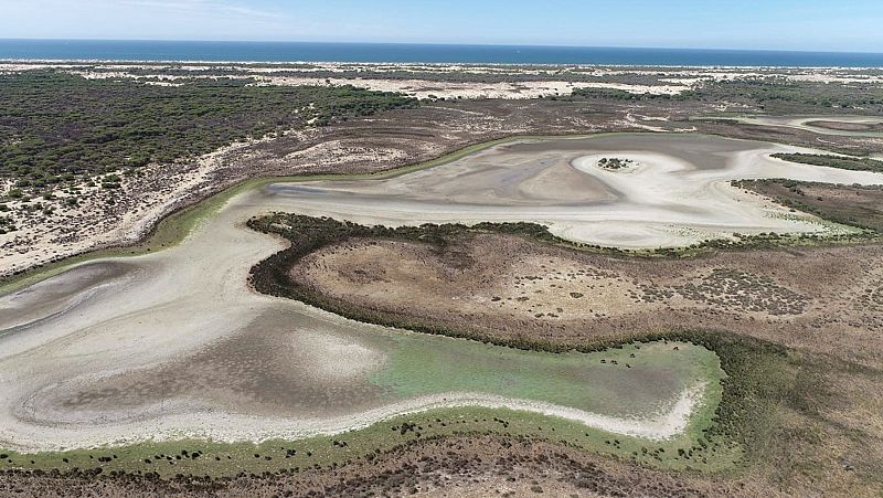 La laguna de Santa Olalla, en Doñana, se seca por tercera vez en su historia | Ver
