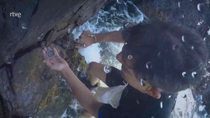 Aquí la Tierra - Pescamos lapa canaria