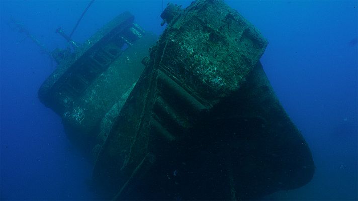 Canarias bajo el mar - Tenerife