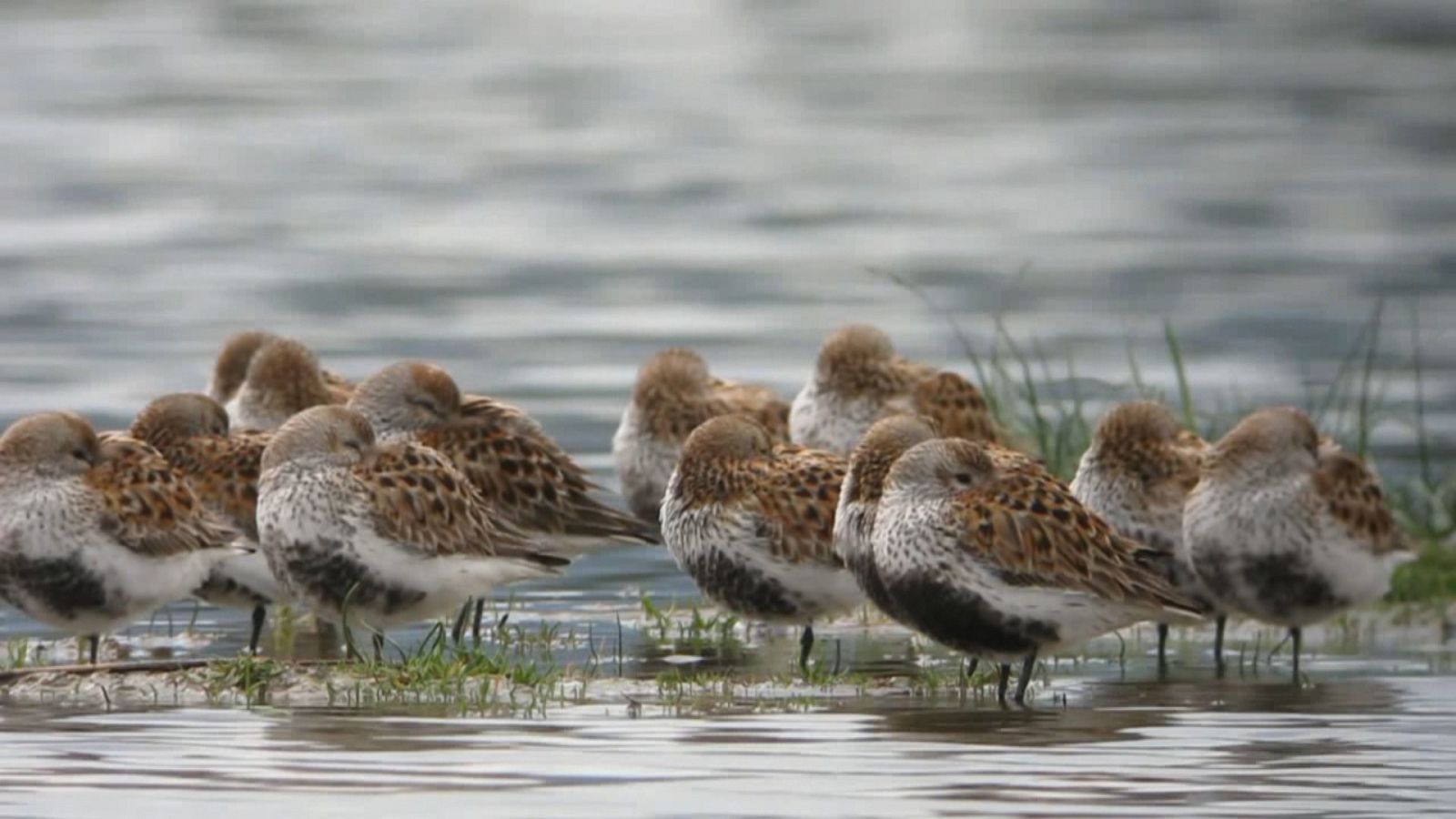 Agrosfera - 10/09/22 - ver ahora
