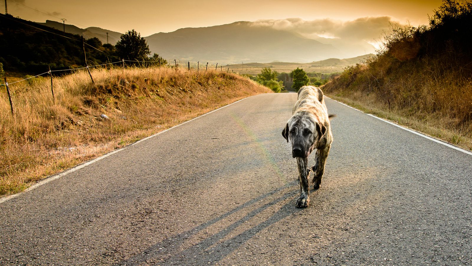 Informe Semanal - Huellas de abandono - ver ahora