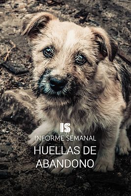 Informe Semanal - Huellas de abandono