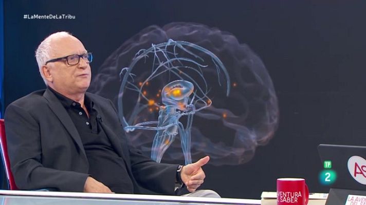 La aventura del Saber - Luis Aguado. 'La mente de la tribu'