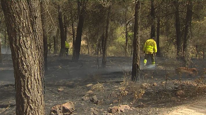 Noticias Andalucía - Incendio en Los Guájaros (Granada)