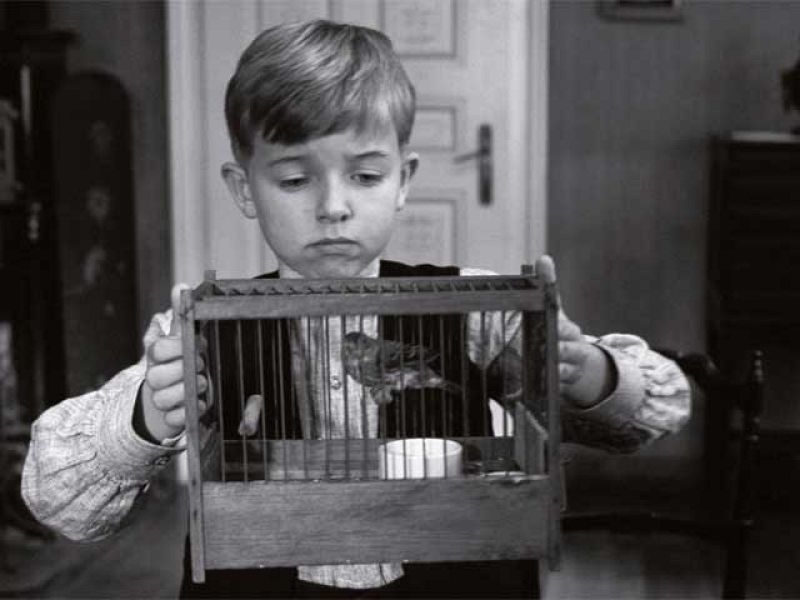 Días de cine - 'La cinta blanca'