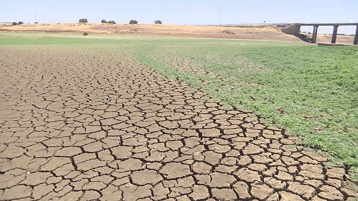 Noticias Andalucía - La lluvia no remedia la sequía en Andalucía