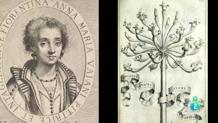 La aventura del Saber - Ilustradoras de botánica