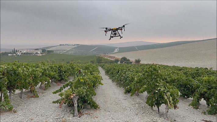 Noticias Andalucía - Proyecto Investigación GO_PhytoDron