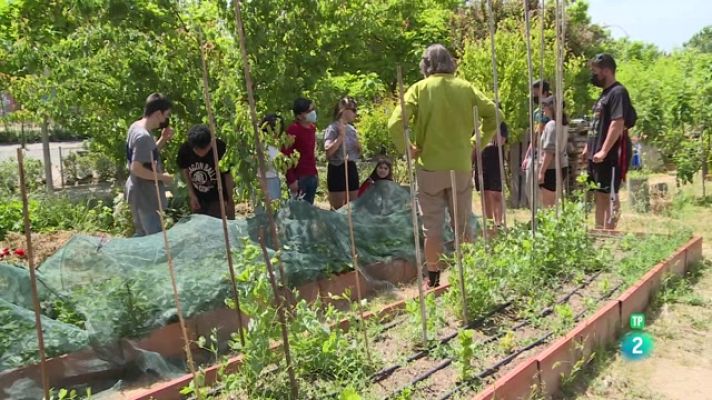 La aventura del Saber - Educar con mirada ecosocial