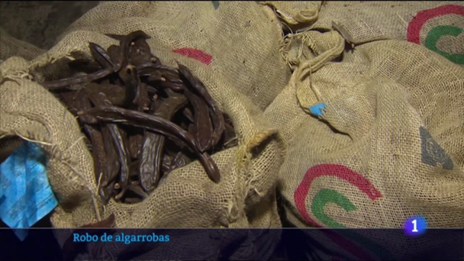 El incremento del precio de las algarrobas dispara los casos de robos en los campos