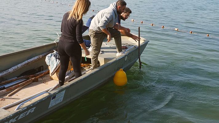 Noticias Andalucía - El futuro de la biodiversidad