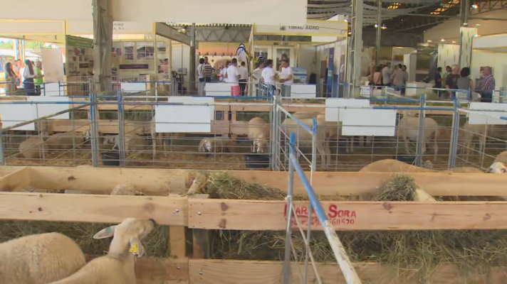  - Regresa FEMOGA, el escaparate del mundo rural aragonés