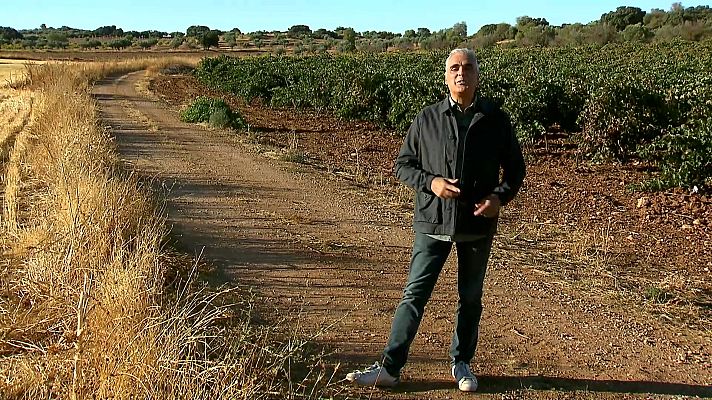 Agrosfera - Agrosfera - 17/09/22