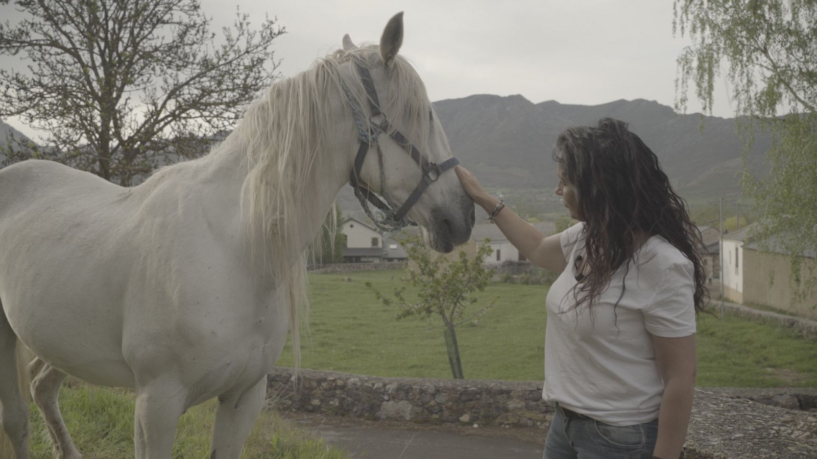 Vuelvo a empezar - Blanca, Almócita (Almería); Casi, Robledondo (Madrid); Maripaz, Riolago de Babia (León) - ver ahora