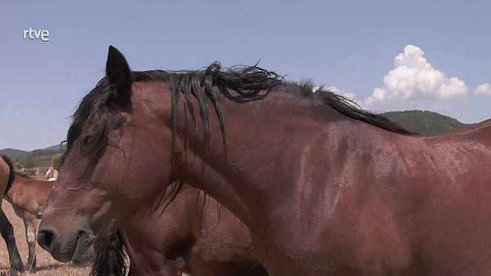 Aquí la Tierra - Aquí la Tierra - 18/09/22