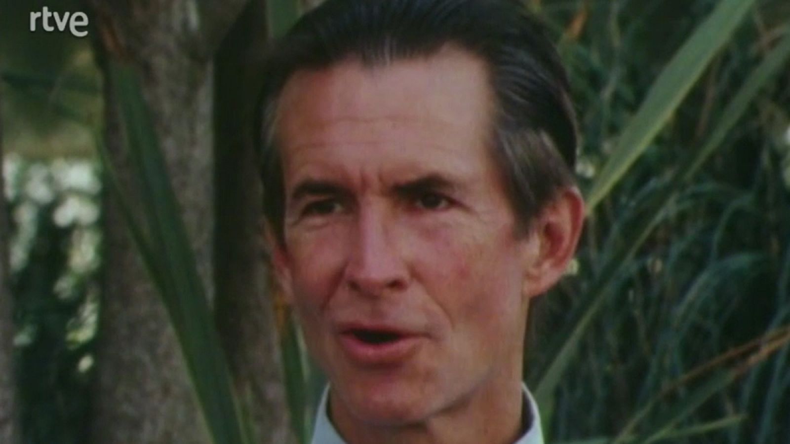 De película - Panorama de actualidad - De película | Ver