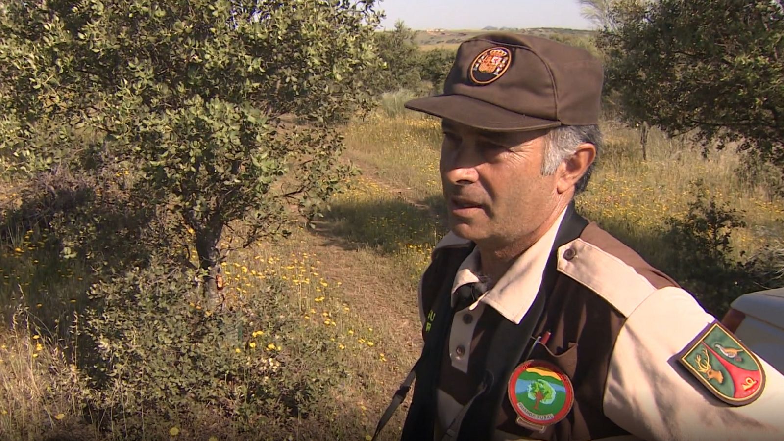 Repor - Veneno impune - ver ahora