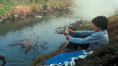 Después de la tormenta