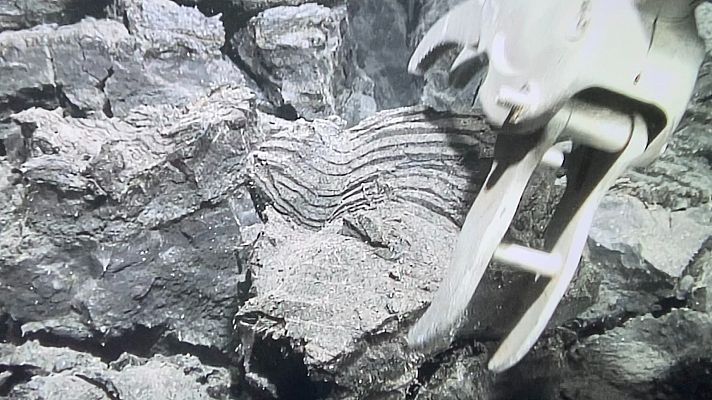 Telediario 1 - El volcán de La Palma un año después: una oportunidad científica para estudiar la regeneración de los ecosistemas