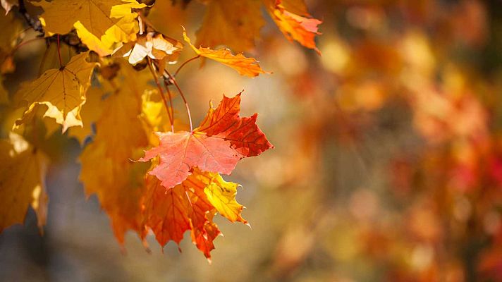 Noticias Aragón - Este otoño será cálido y seco, según la previsión de Aemet