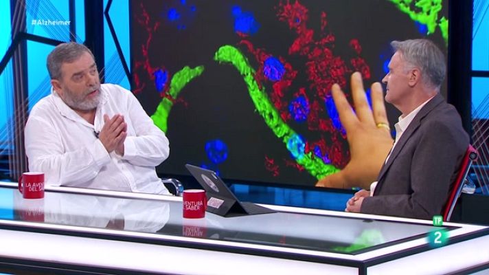 La aventura del Saber - Día Mundial del Alzheimer